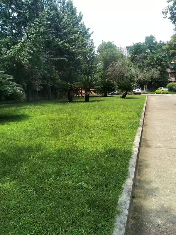 九游手机平台